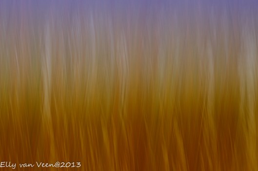 IMG_7651-bewerkt-2-bewerkt