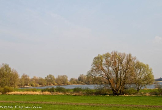 waaldijk-5