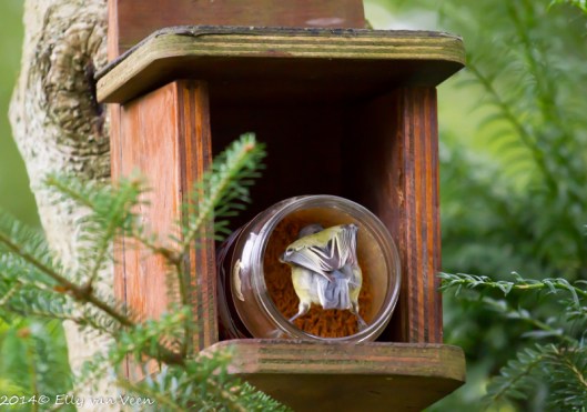 Lekker...pindakaas....