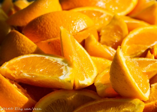 MarathonHoornEllyvVeen-2