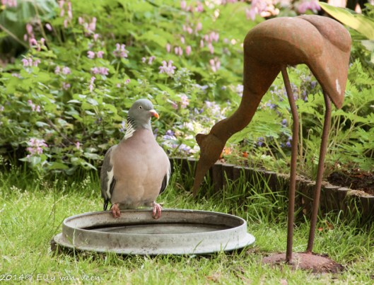 _MG_3277_bewerkt-1