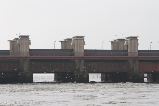 Spuisluizen van de Afsluitdijk