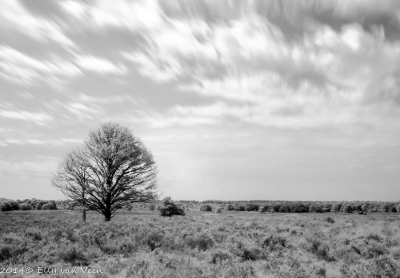 Op de grote stille heide