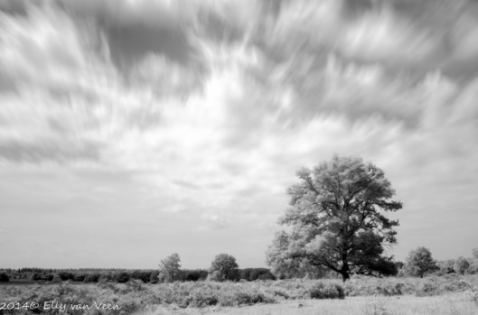 Deze foto vind ik geslaagd