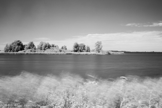 Foto, gemaakt met Infraroodfilter en omgezet naar Zwart -Wit