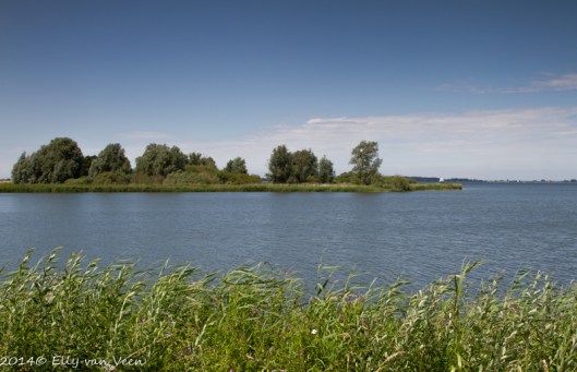 Foto van de Gouwzee, genomen bij Marken.
