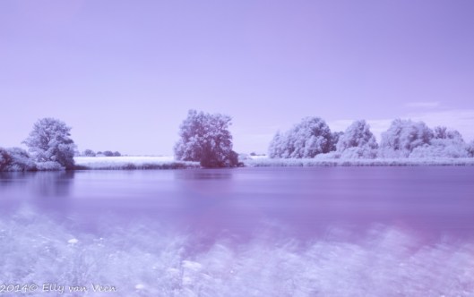 Foto met Infraroodfilter, omgezet in kleur.