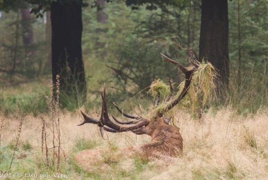 Het begint er al op te lijken