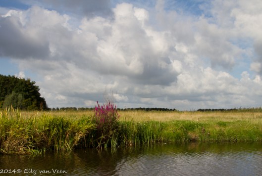 LutjebroekerWeel-4702