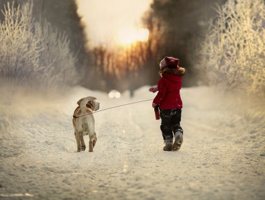 Foto van Elena Shumilova