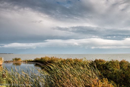 IJsselmeer-