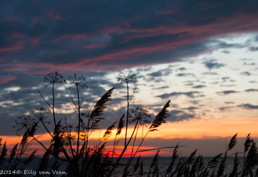 IJsselmeer-2874