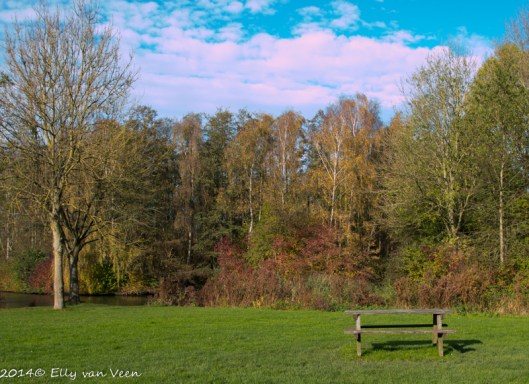 De bomen kleuren prachtig