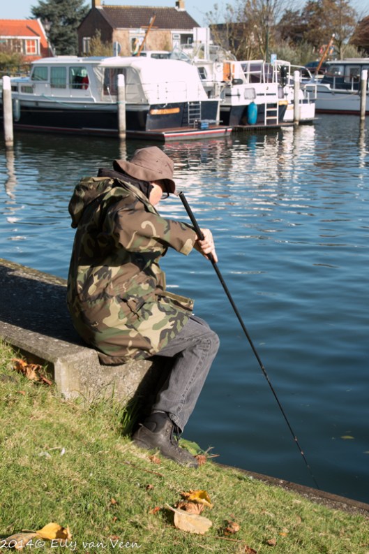 Baarzen in de Broekerhaven
