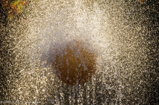 Fontein met tegenlicht en hoge snelheid