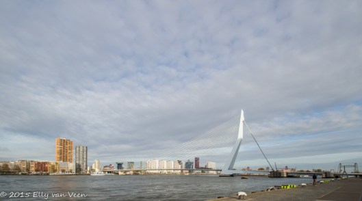 Rotterdam-5849