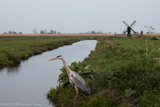 even een visje verschalken...