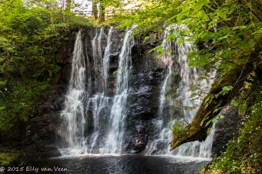 Glenariff Forest