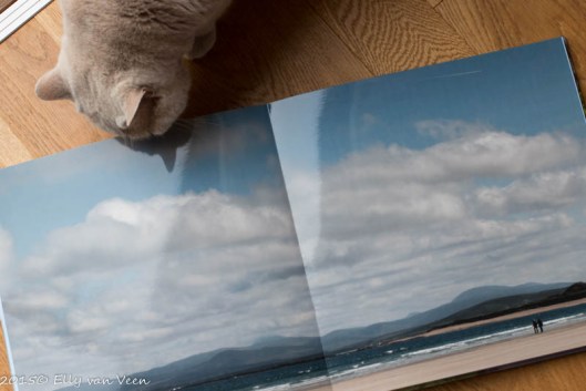 Ook de poes wil het album graag bekijken