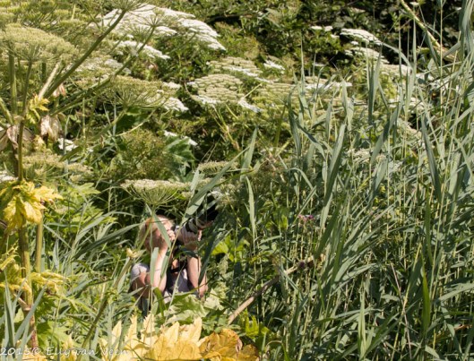 we wanen ons in de jungle