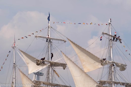 Sail_2015-1405