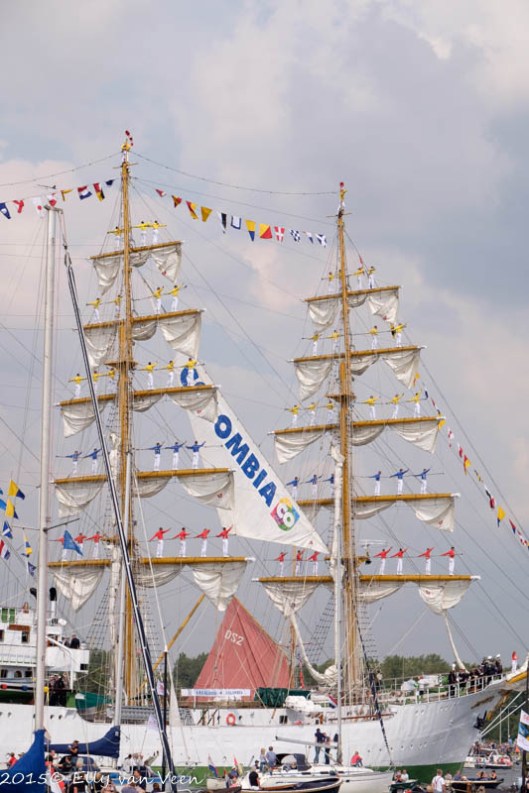 Sail_2015-1484