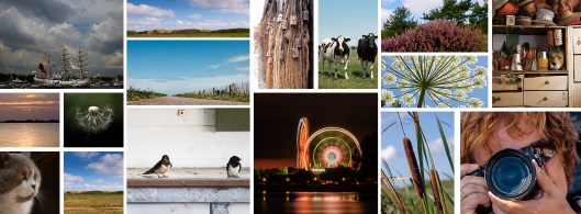 Gemaakt naar aanleiding van Tutorial Lightroom Cover maken