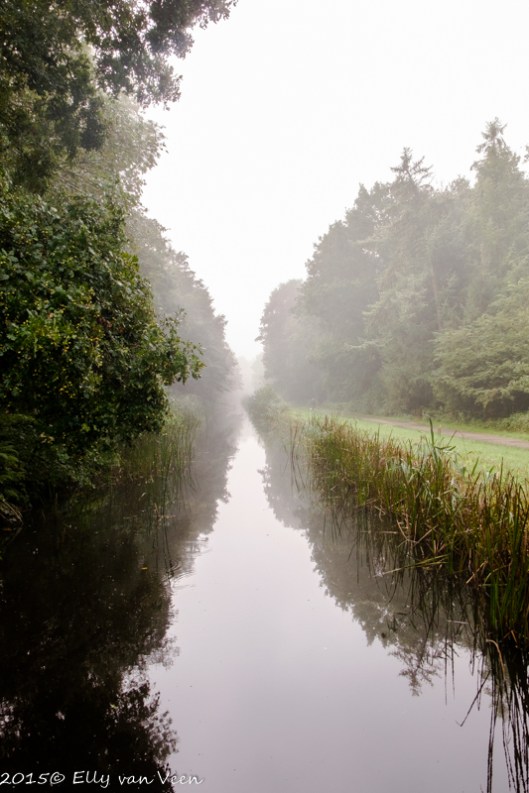 De mist lost langzaam op