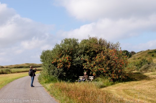 we waren niet de enigen die genoten