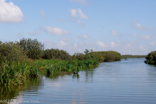 Er is ook veel water