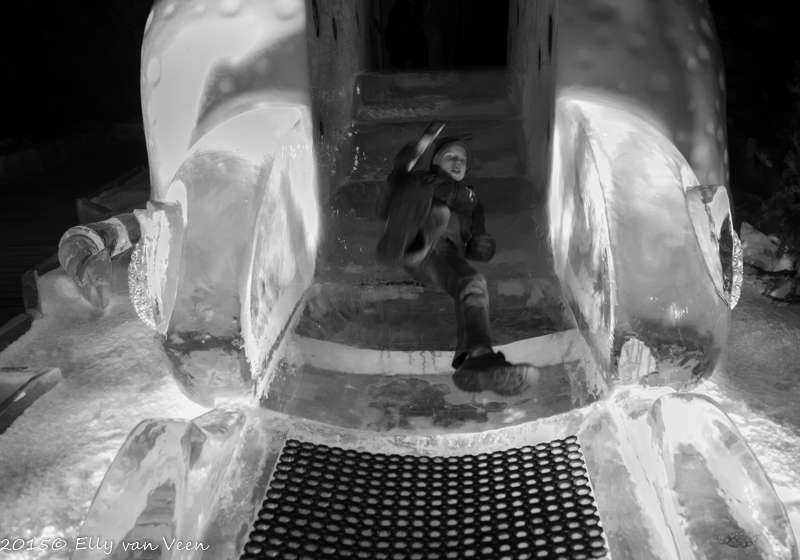 IJssculpturen-38