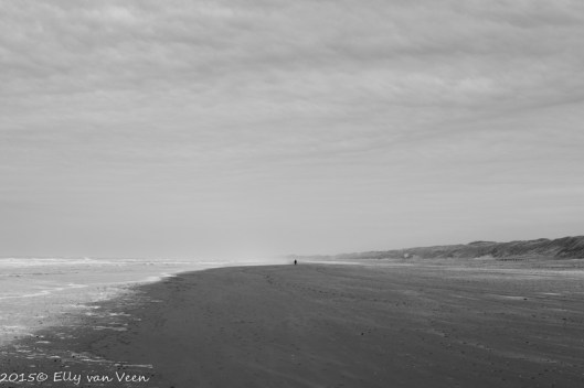 Fuji XT-1 met 35 mm 2.0 1/170  F8.0  Iso 200