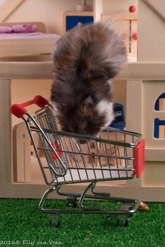 zo de winkelwagen in