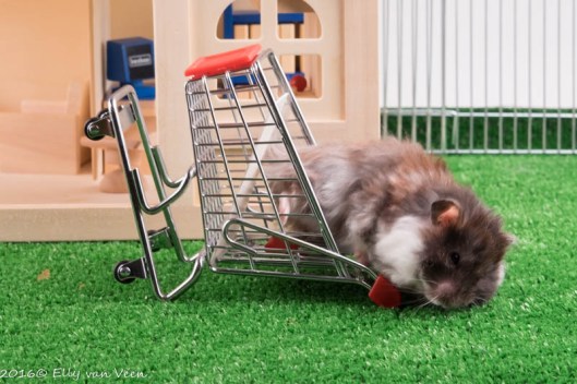 als je teveel wilt..val je om...