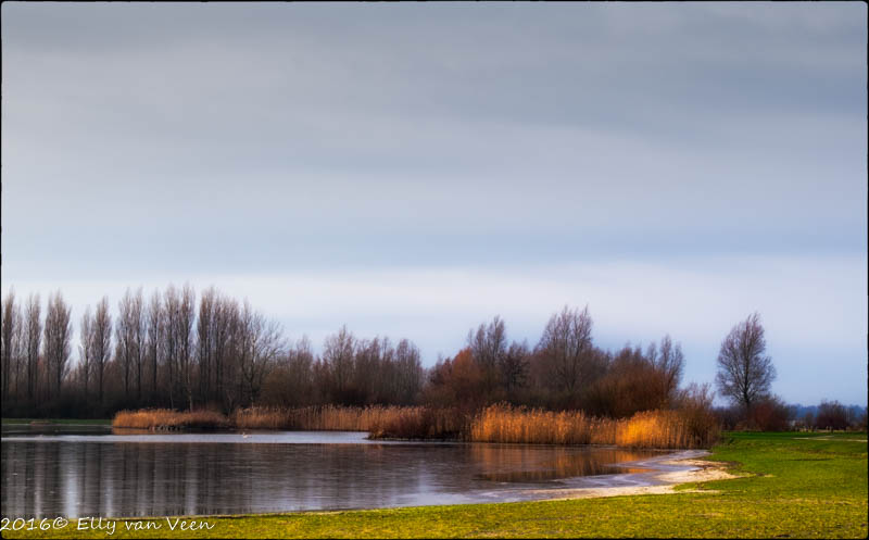Vooroever (3 van 7)