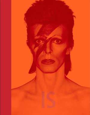 bowie-david-bowie-is-david-bowie-boek-cover-9789401604741