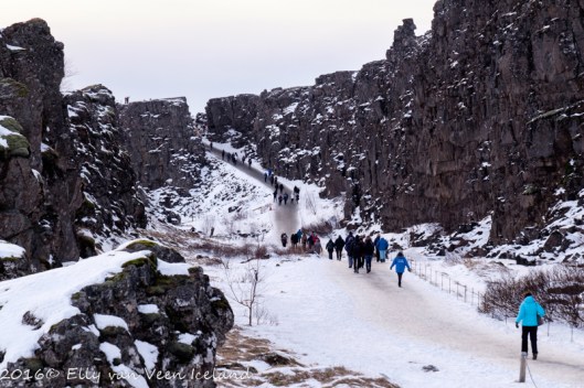 IJsland-Pingvellir-4530
