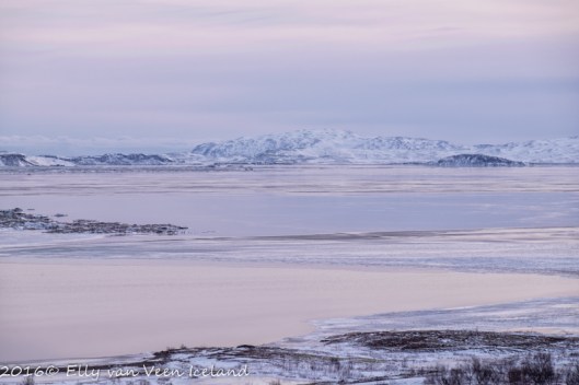 IJsland-Pingvellir-4556