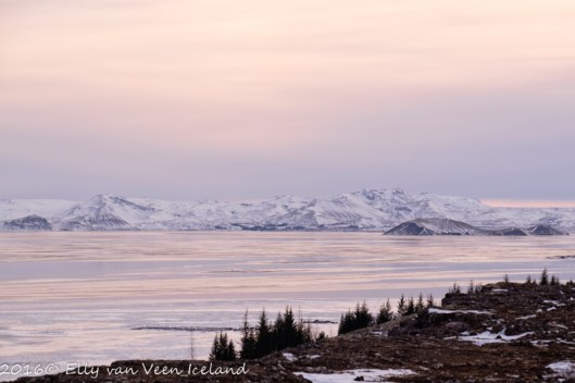 IJsland-Pingvellir-4558