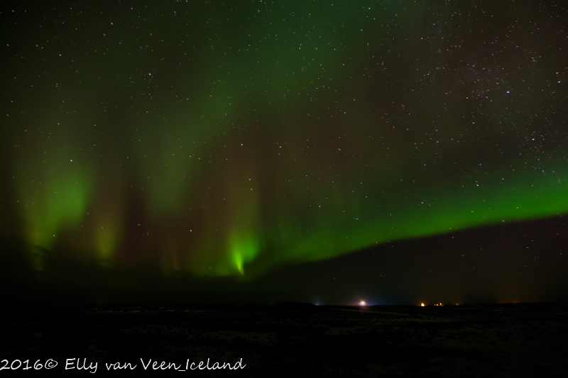 noorderlicht-4587