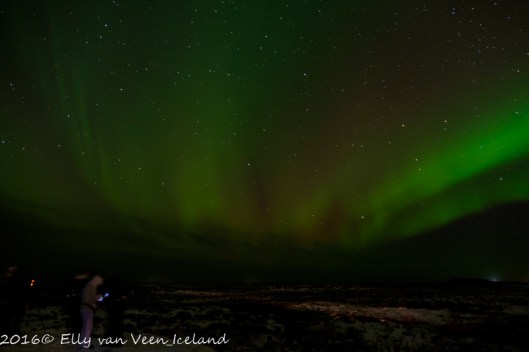noorderlicht-4593