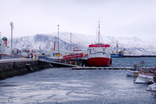 Reykjavik-4646