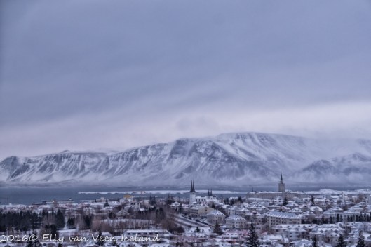 Reykjavik--5