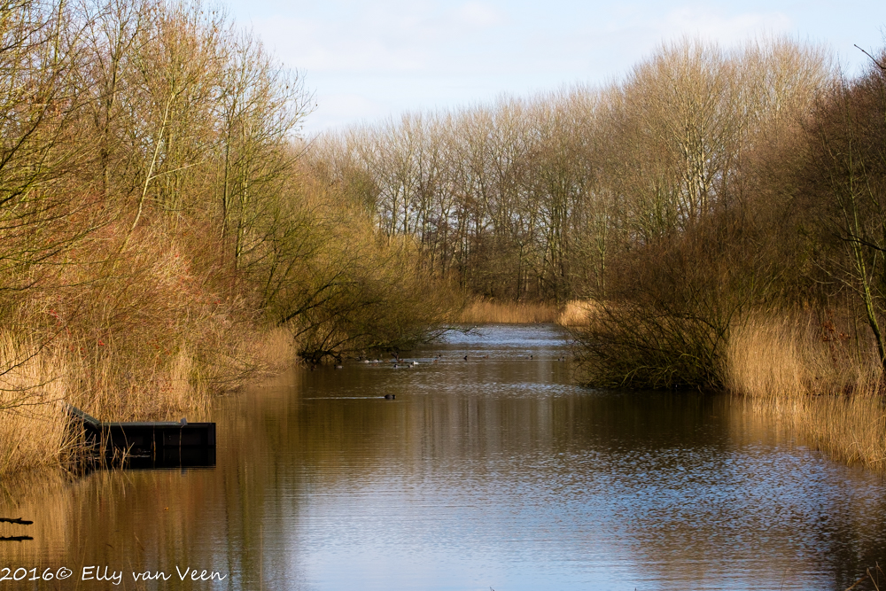Lelystad