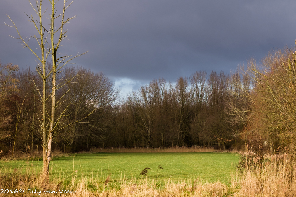 Lelystad