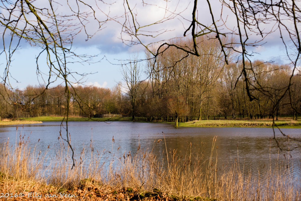 Lelystad
