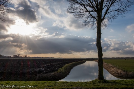 Foto met lensflair, wat hier m.i. niet misstaat