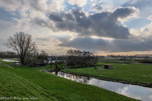 Camera op automatisch, en komt een kant-en-klare Jpeg uitrollen