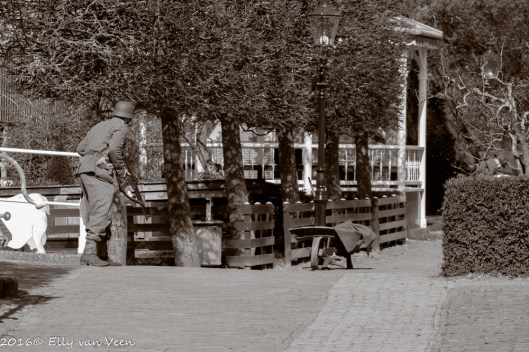 Zuiderzeemuseum-6298