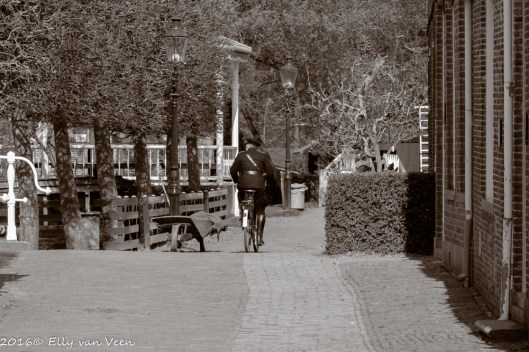 Zuiderzeemuseum-6309